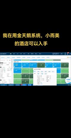 金天鵝酒店管理系統(tǒng)